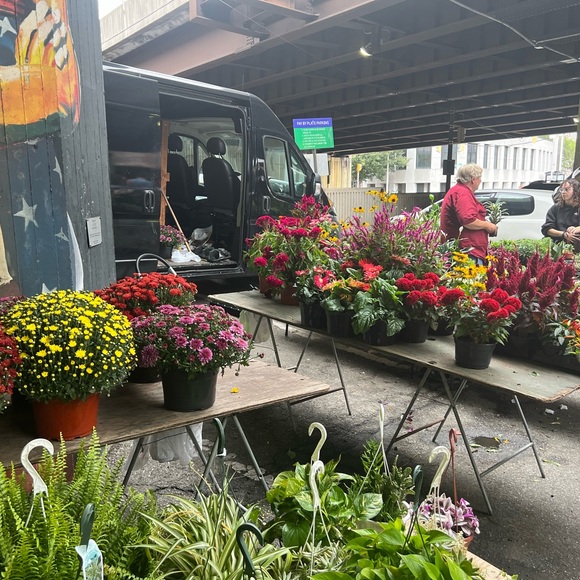 Lundun Pearl - Picture 2 of 5